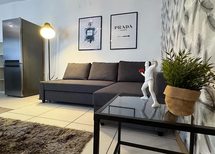 Cuore Della Citta - Netflix Free * 비첸차